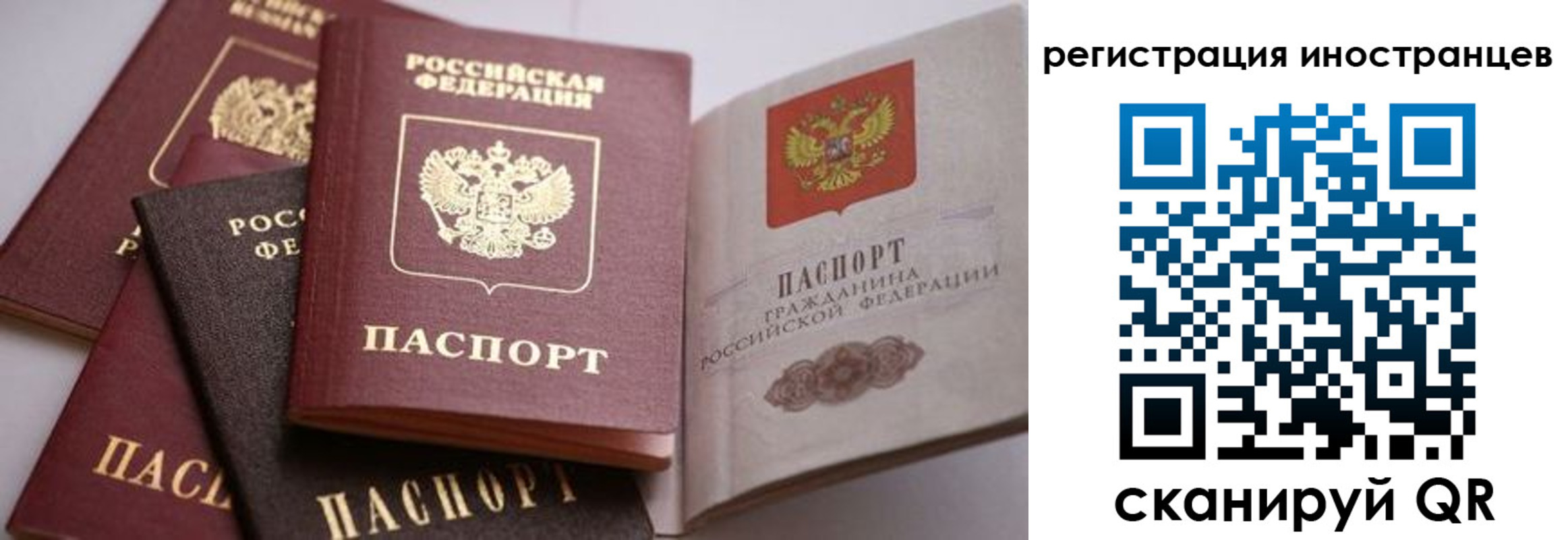 прописка штамп в Голицыно
